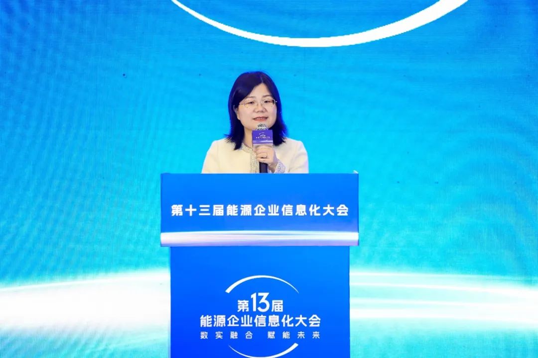 ag真人平台官方DAP亮相第十三届能源企业信息化大会