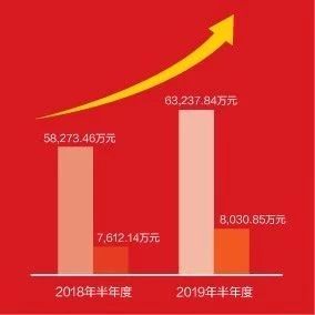 一图看懂ag真人平台官方软件2019年半年报