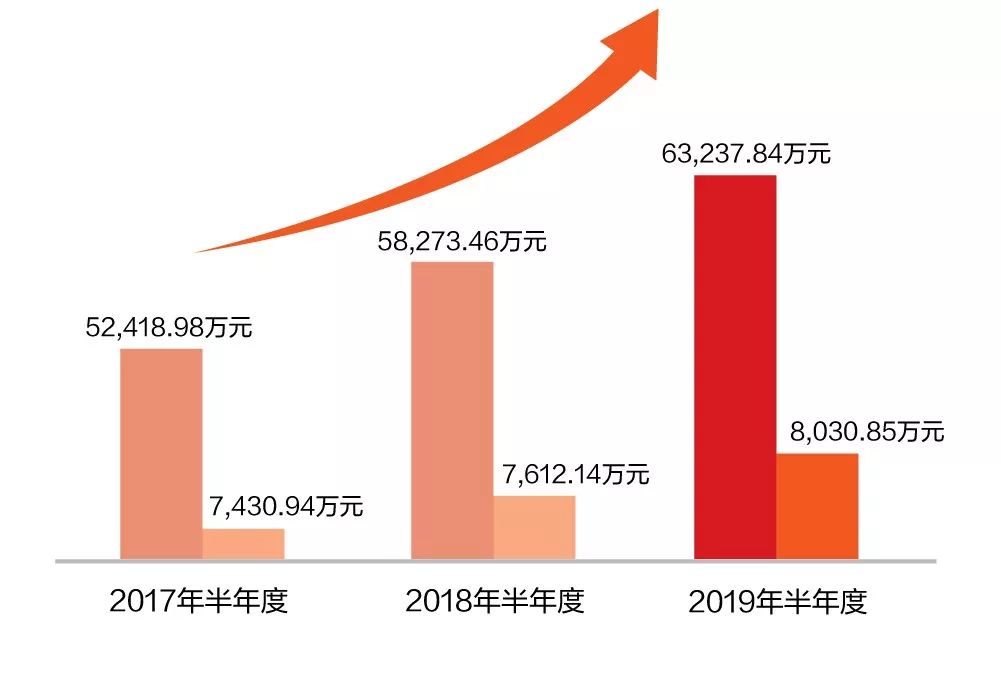 一图看懂ag真人平台官方软件2019年半年报