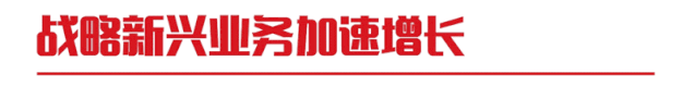 一图看懂ag真人平台官方软件2019年半年报